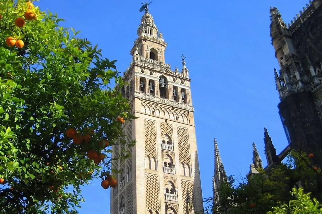 New! Cozy For Couples With Private Patio Apartment Seville
